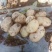 华州精品土豆沃土，颜色光亮，皮毛光无虫眼，是饭桌上的美
