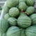 精品吊瓜