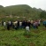 贵州花椒