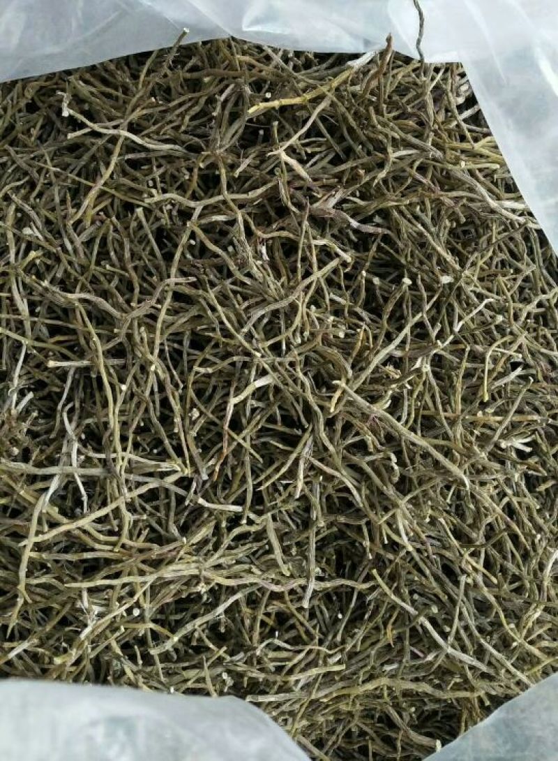 浙江雁荡山铁皮石斛干条，烤条