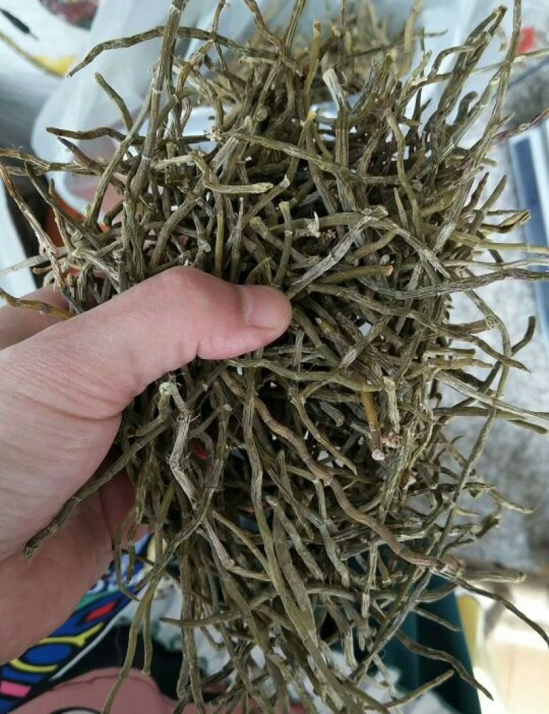 浙江雁荡山铁皮石斛干条，烤条