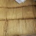 「推荐」豆腐皮，豆皮云丝✔手工制作✔凉菜✔量大从优