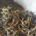 英红九号英德红茶手信罐装