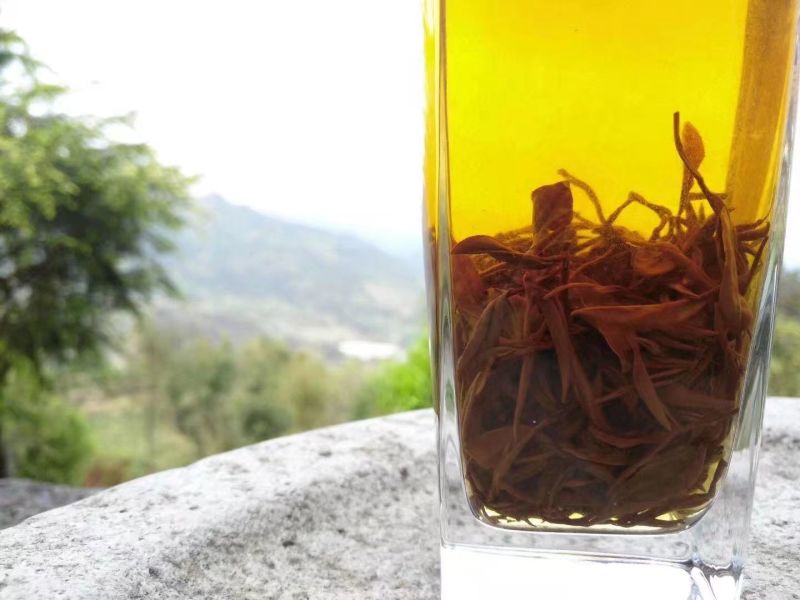 英红九号英德红茶手信罐装