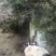 巴马香猪藏香猪杜洛克太湖三元