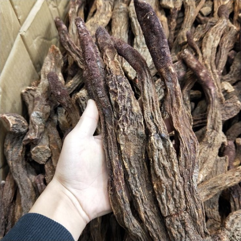 锁阳选货