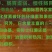 红薯面条500克一把，12把1件