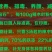 辣木粉