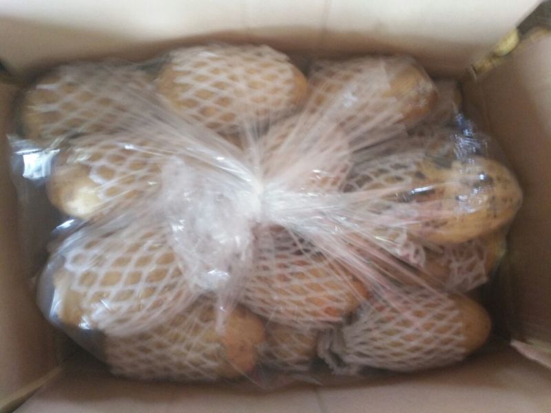 荷兰十五土豆2两以上通货