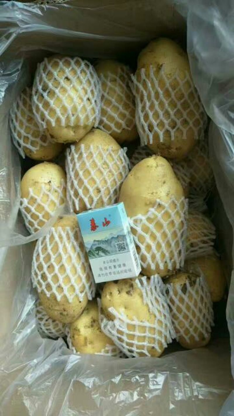 荷兰十五土豆2两以上通货
