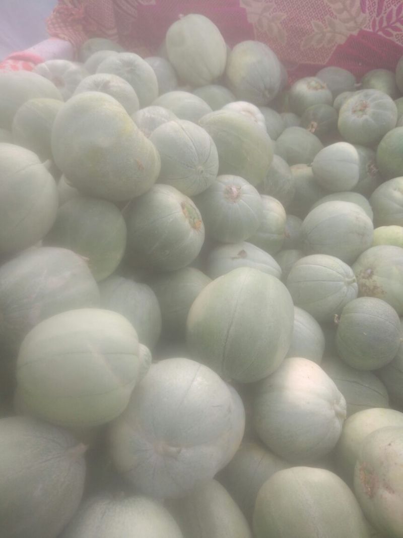绿皮