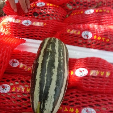 博洋9.绿宝,杨家蜜花仙子