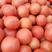 硬粉西红柿,精品,弧三以上，产地直销！发往全国各地。