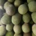 精品【菠萝蜜】规格10～15斤大量上市品种齐全