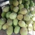 精品【菠萝蜜】规格10～15斤大量上市品种齐全