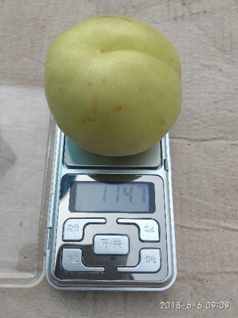 香白杏表面干净口感好什么品质都有