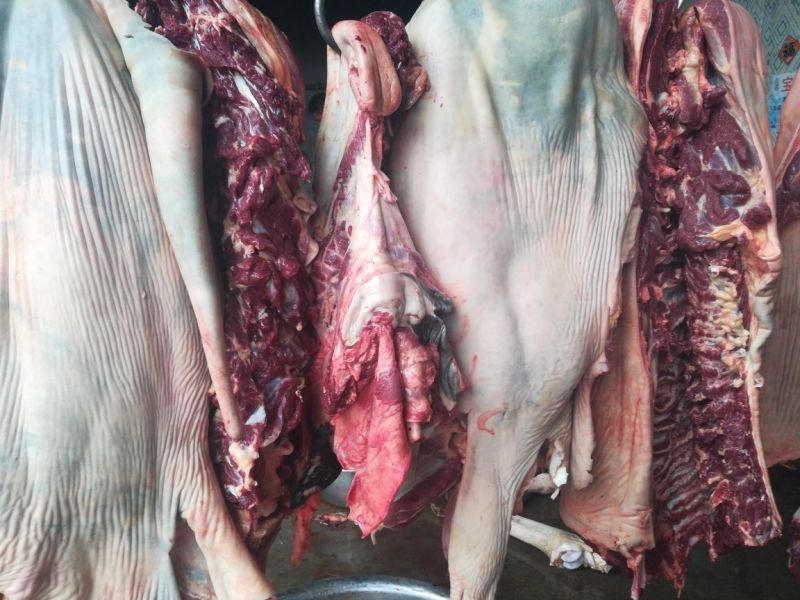 驴肉鲜货带皮驴肉鲜驴肉驴肉厂家直接发货手续齐全