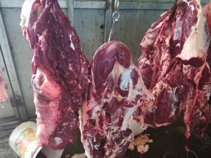驴肉鲜货带皮驴肉鲜驴肉驴肉厂家直接发货手续齐全