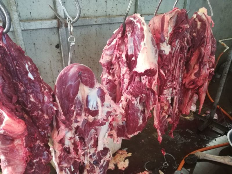 驴肉鲜货带皮驴肉鲜驴肉驴肉厂家直接发货手续齐全
