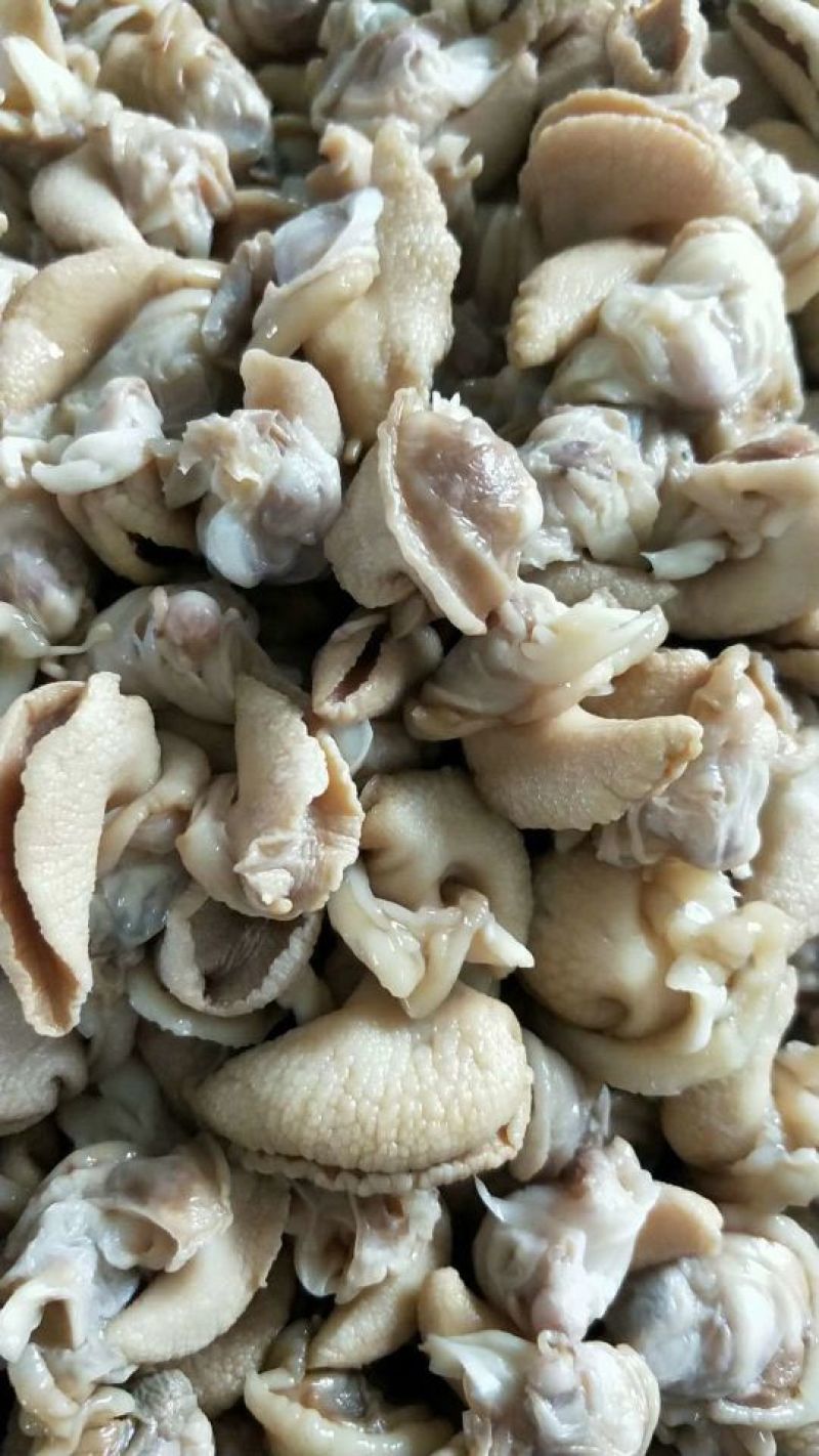 白玉蜗牛