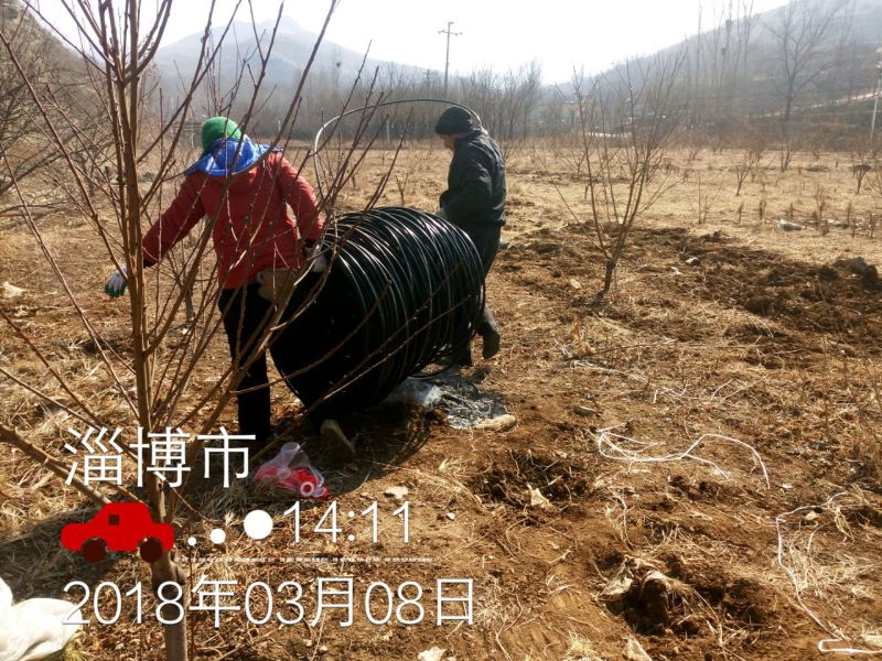圆柱滴灌管果树、苗木、葡萄、猕猴桃等滴灌，间距可定制！