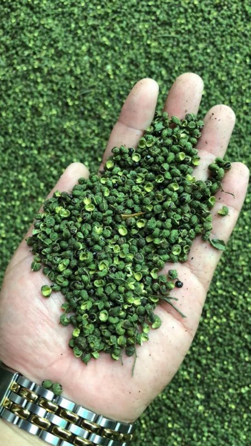 青花椒特级干