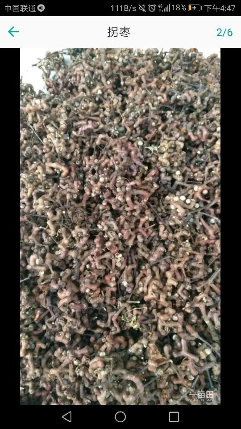 拐枣