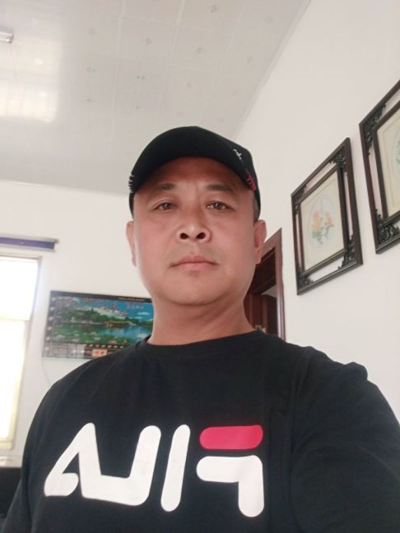粽叶芦苇叶