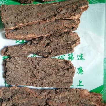 樟树皮香樟树皮