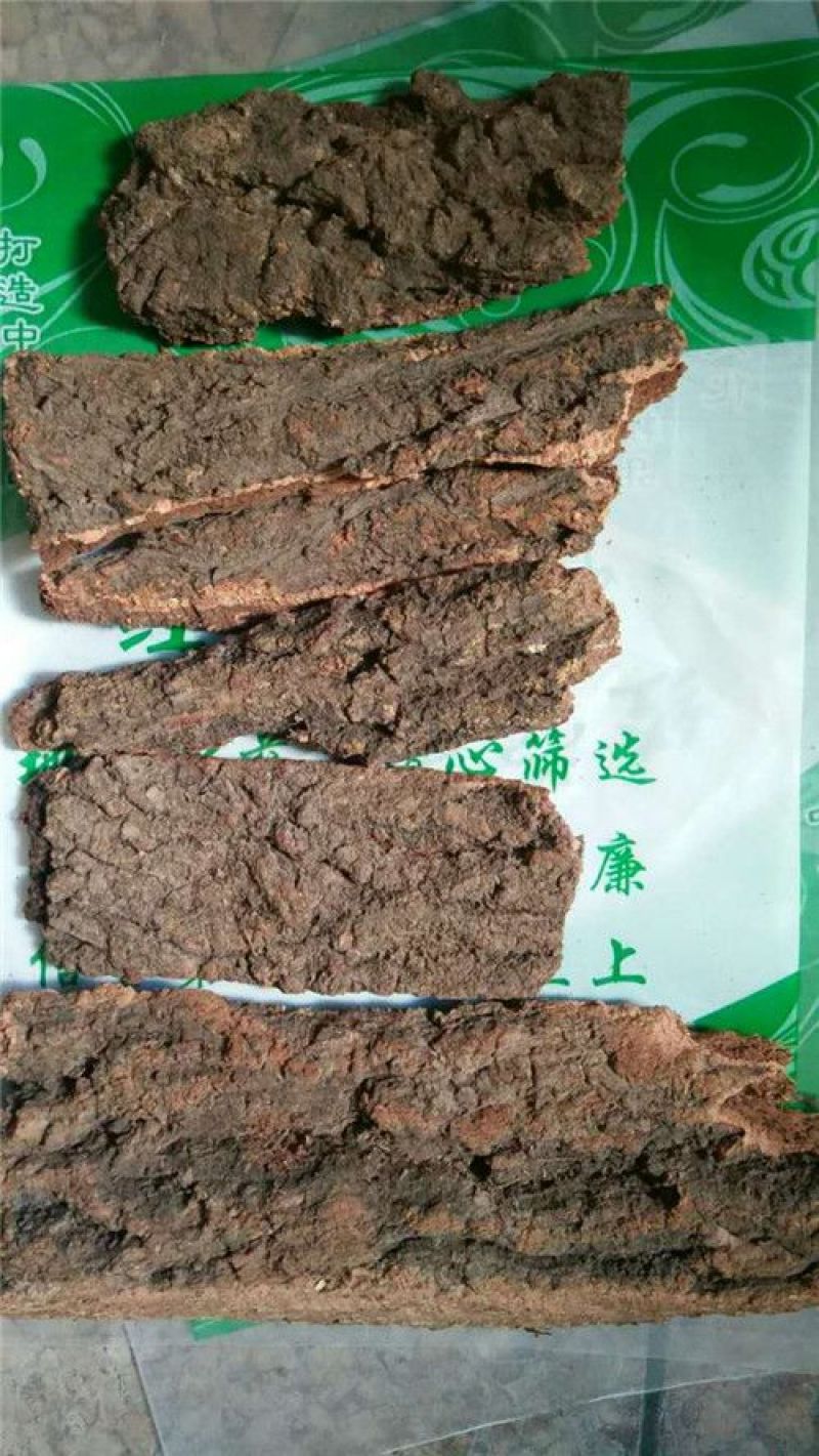 樟树皮香樟树皮