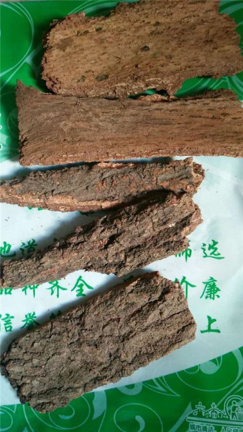 樟树皮香樟树皮
