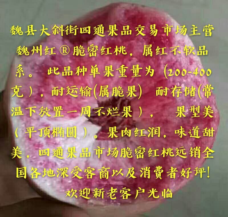 脆密红桃（红不软品系）