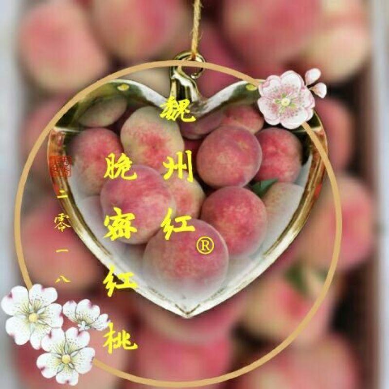 脆密红桃（红不软品系）