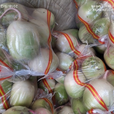精品红沙地心里美，表皮白净