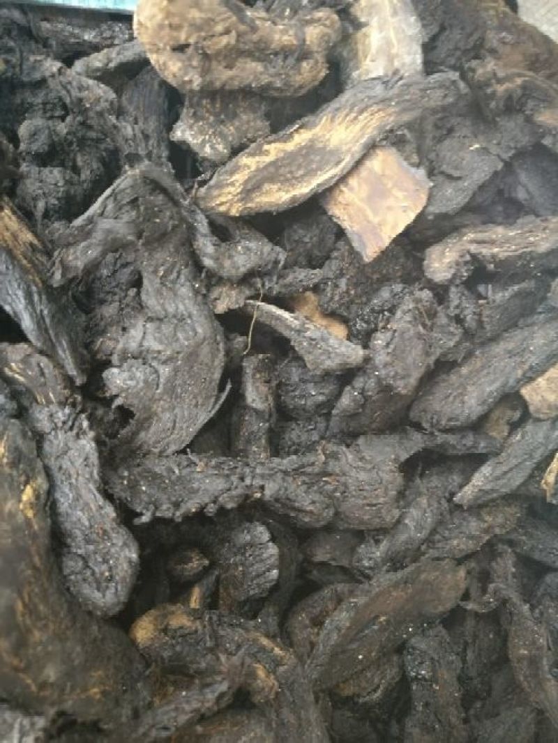 大芸肉苁蓉油性肉苁蓉个子片子