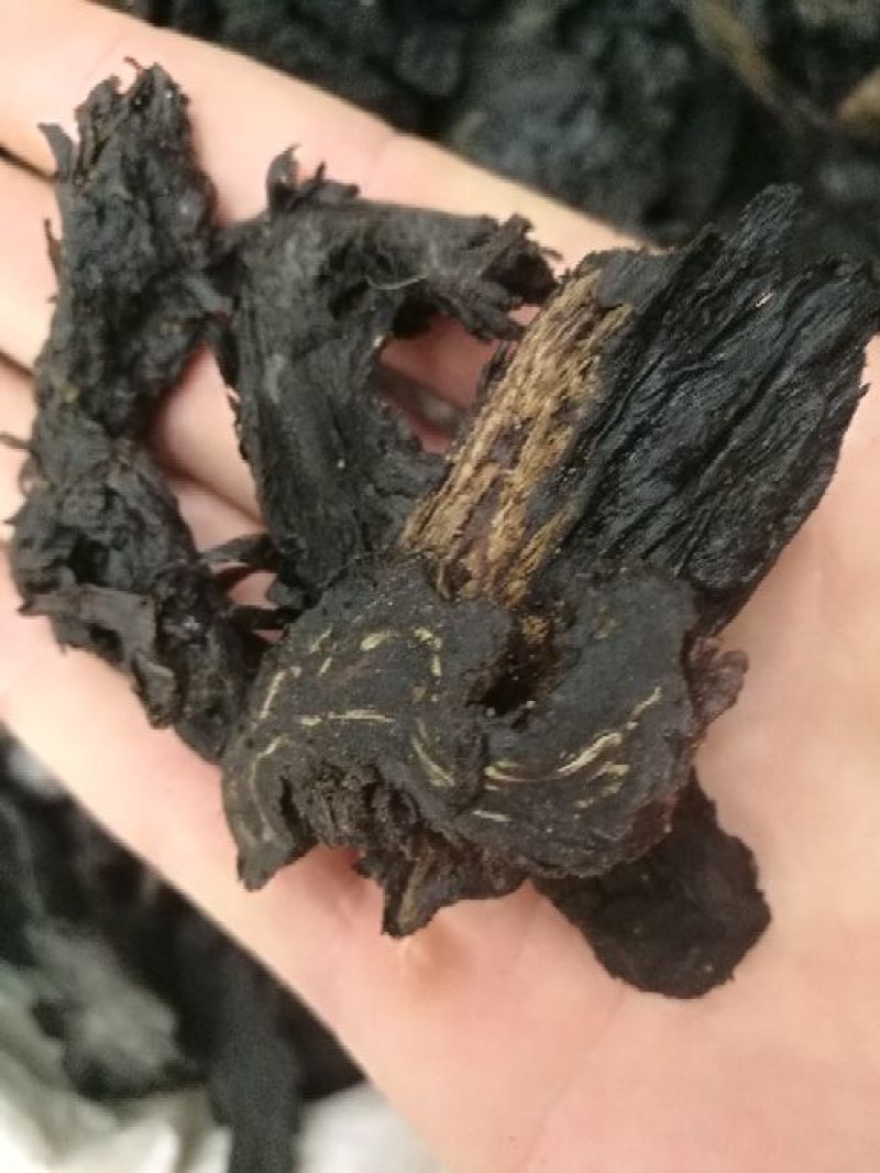 大芸肉苁蓉油性肉苁蓉个子片子