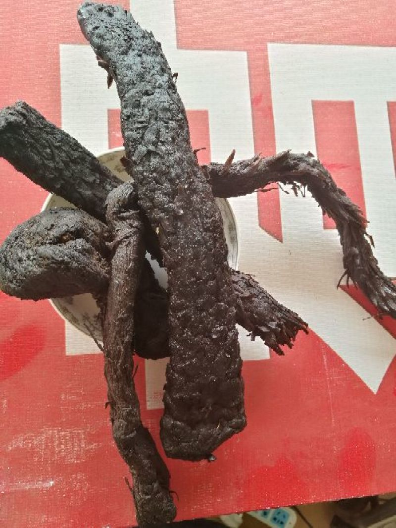 大芸肉苁蓉油性肉苁蓉个子片子