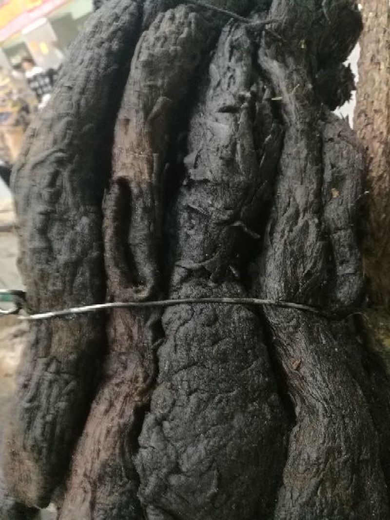 大芸肉苁蓉油性肉苁蓉个子片子