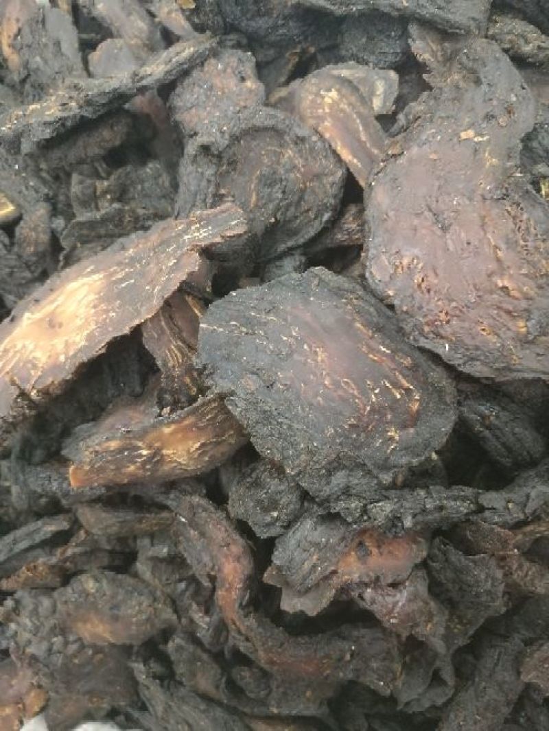 大芸肉苁蓉油性肉苁蓉个子片子
