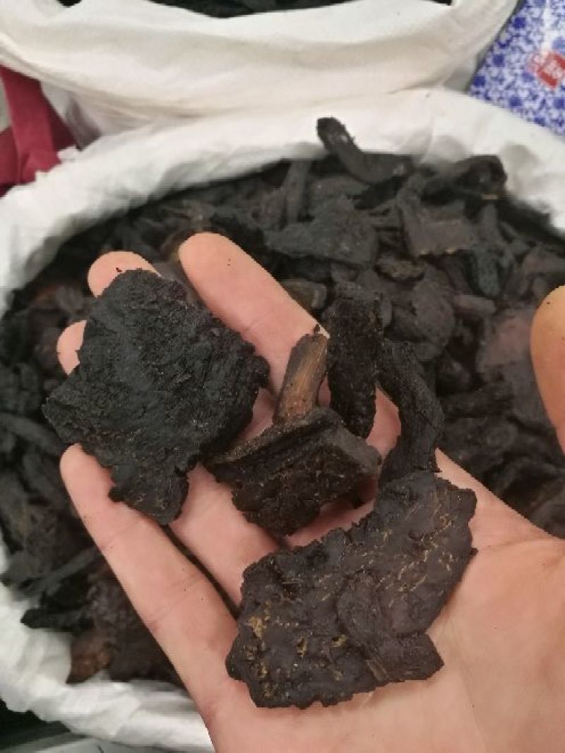 大芸肉苁蓉油性肉苁蓉个子片子