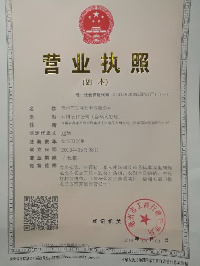 大芸肉苁蓉油性肉苁蓉个子片子