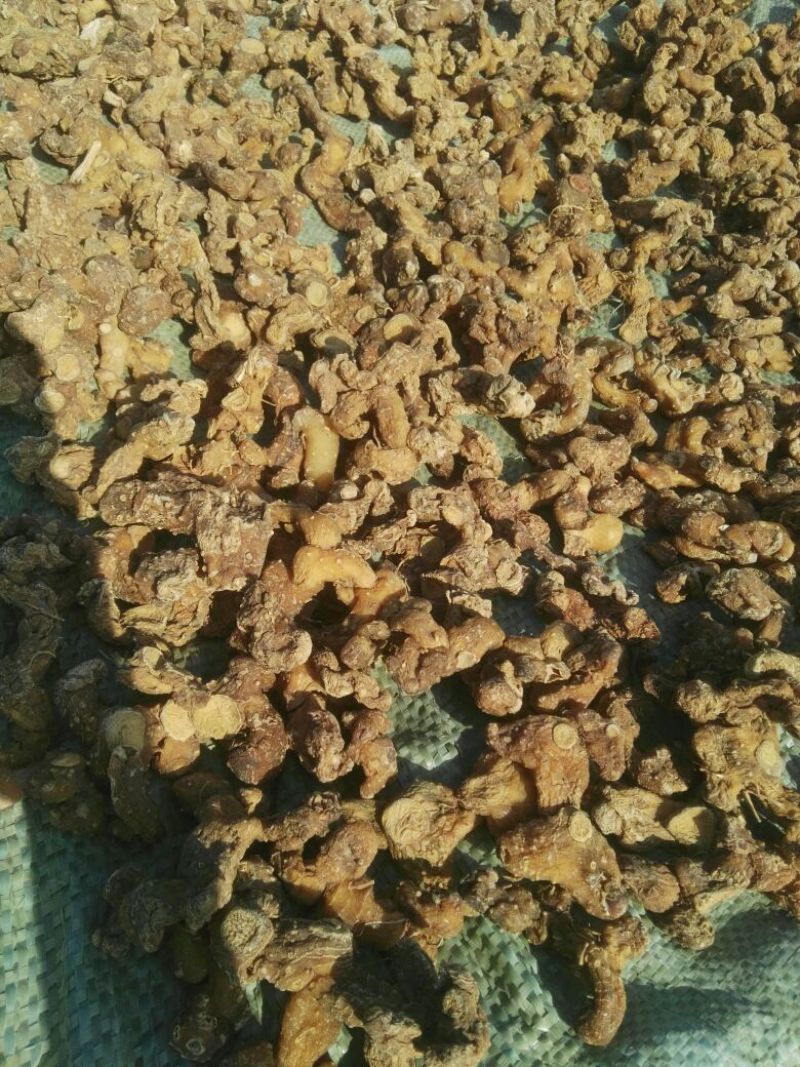 黄精