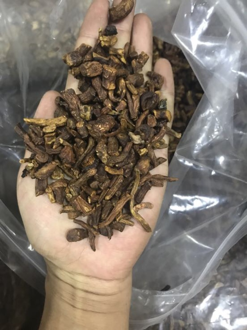 蒲公英根蒲公英茶