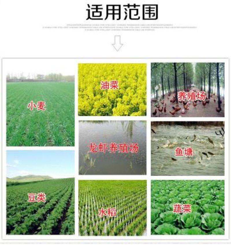 施肥器电动机械后背式农用手提鱼塘自动施肥机