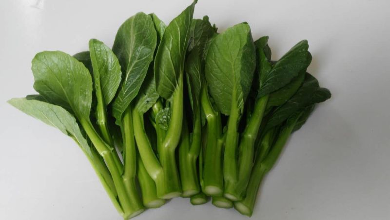 宁夏供港大中小菜心