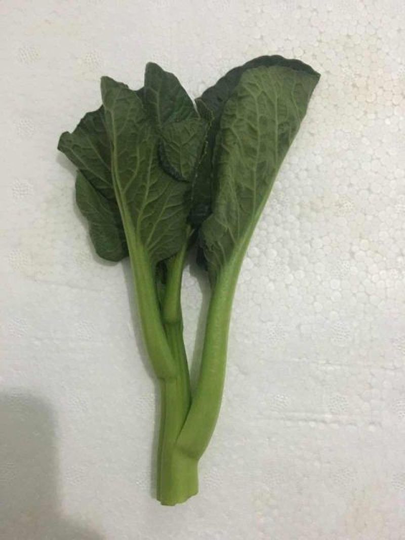 宁夏供港大中小菜心