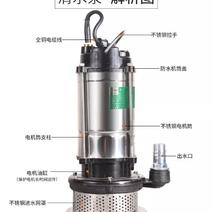 潜水泵家用自吸高扬程抽水泵农污水清水泵泵
