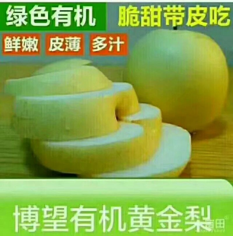 黄金梨