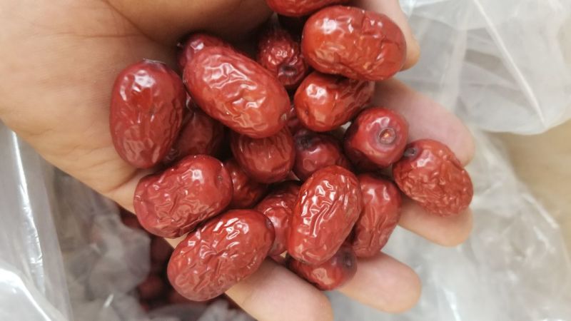 灰枣干枣二级