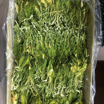 霸王花（剑花）龙骨花